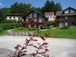 Les Prairies du lac Gérardmer